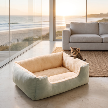 Tabby kitten peeking over the edge of the cloud cat bed