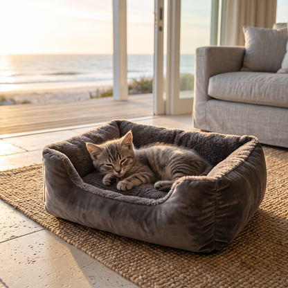 Close-up of the plush cloud cat bed with a sleepy grey kitten